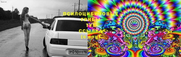 экстази Богородицк