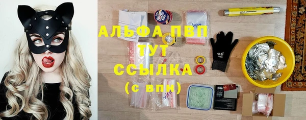 эйфоретик Медвежьегорск