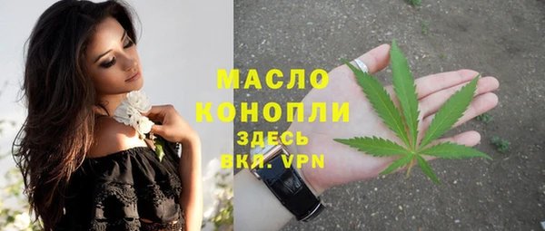 дмт Медногорск