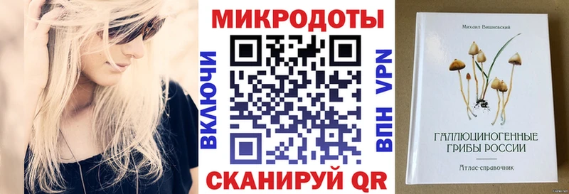 Галлюциногенные грибы Psilocybine cubensis  Стрежевой 