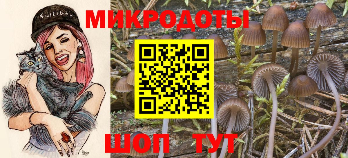 Стрежевой  Галлюциногенные грибы Cubensis  Псилоцибиновые грибы мицелий  Вход с VPN 