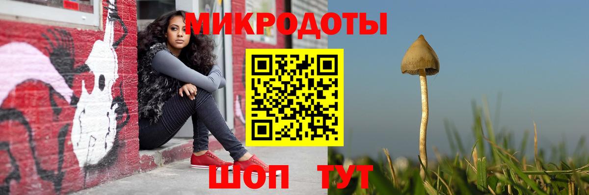 Псилоцибиновые грибы Psilocybe  Галлюциногенные грибы прущие грибы  Стрежевой 