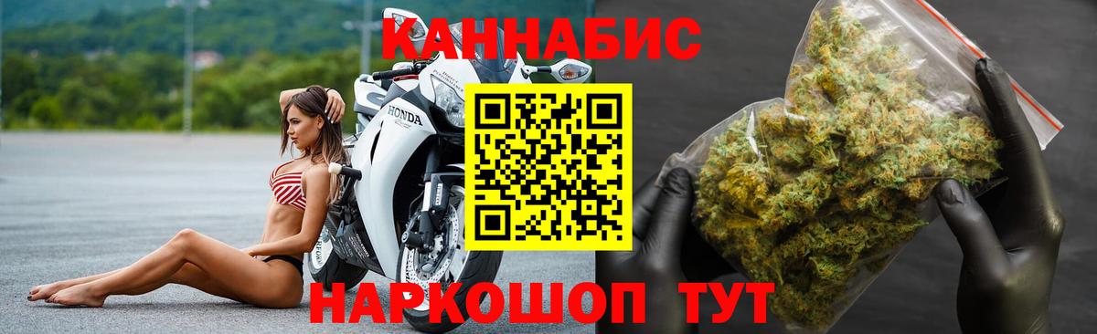 Конопля сатива Стрежевой